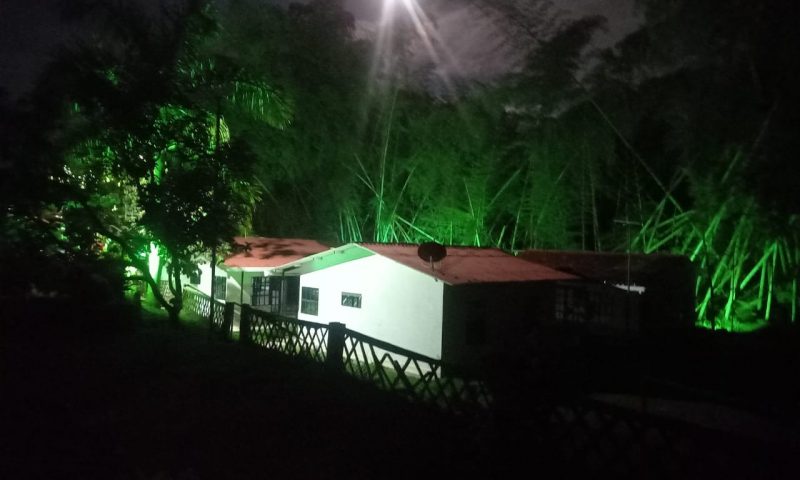 PAISAJE DE ENSUEÑO (1)