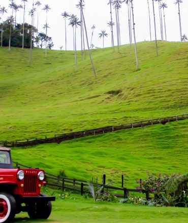 quindio_2