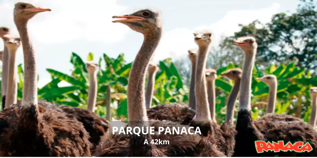 parque panaca