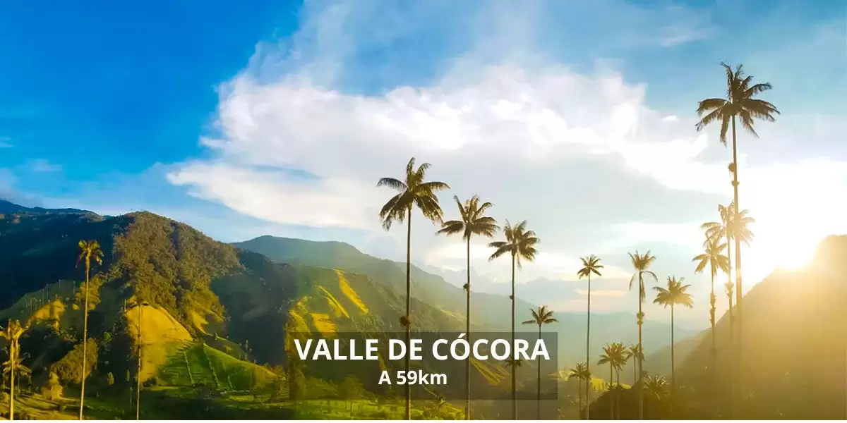 Valle de la Cocora